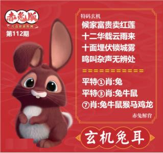 玄机兔耳