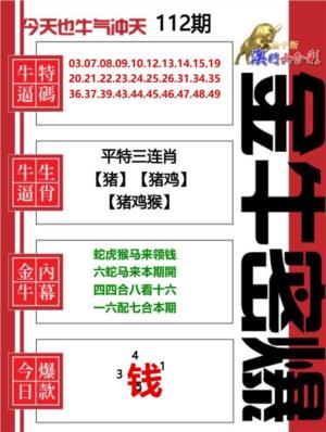 金牛密爆