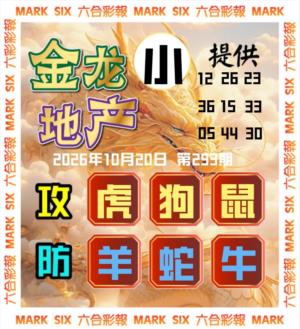 金龙主三肖