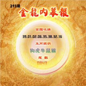 金龙内幕报