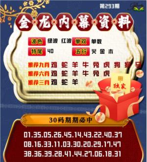 金龙内幕资料