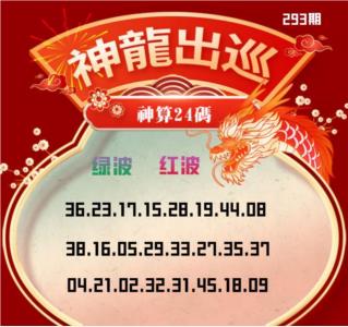 金龙双波24码