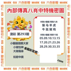 金龙中特玄机图