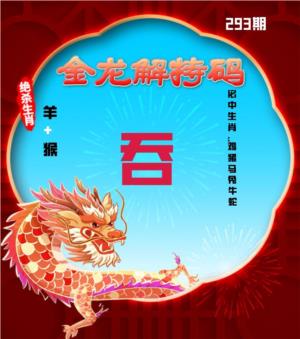 金龙解特码