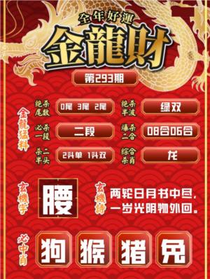 金龙财报