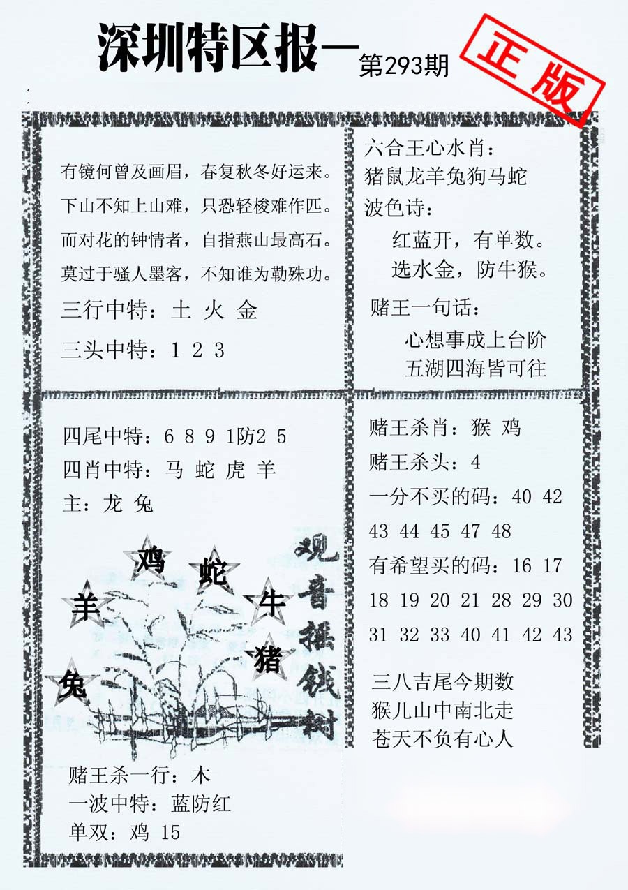 深圳特区报A