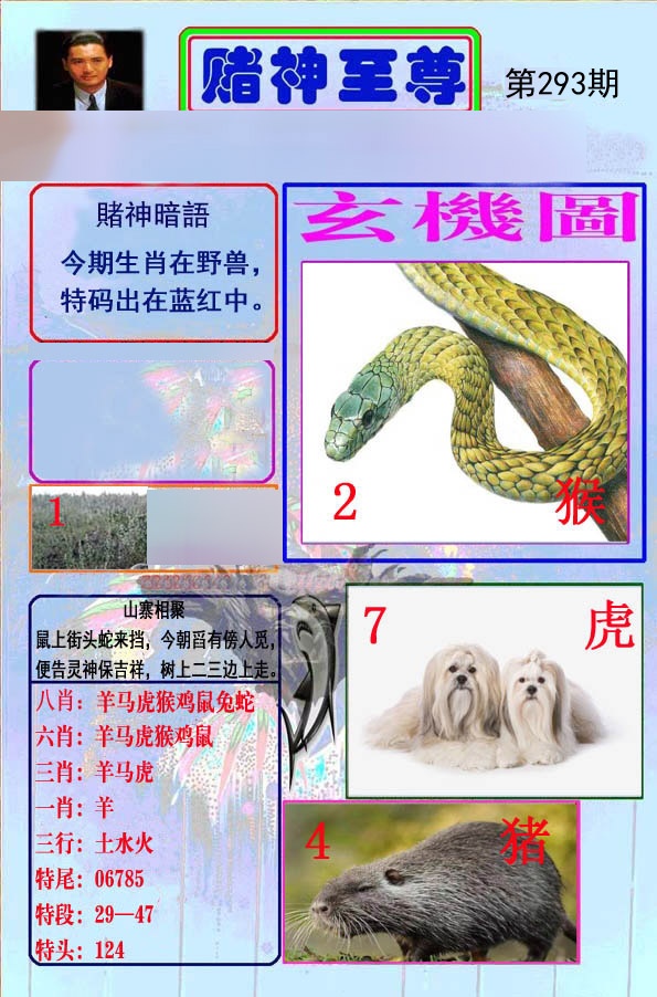 赌神至尊